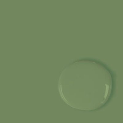 Annie Sloan Chalk Paint Capability Green