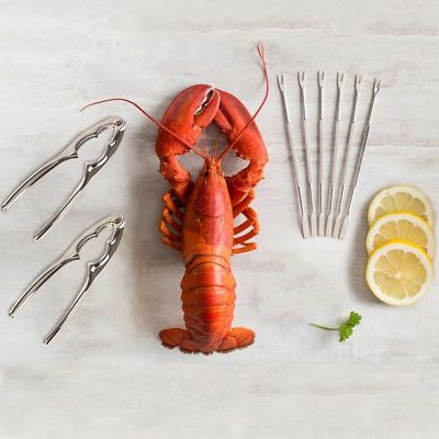 Natural Living Tool Set Seafood