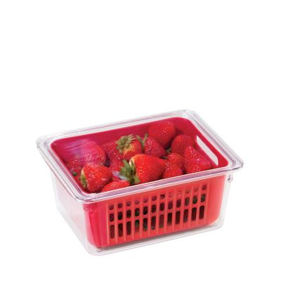 Oggi Berry Bin Single Red