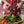 Guard Attachment Microplane Gourmet