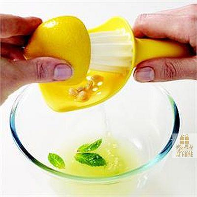 Joseph Joseph Citrus Reamer