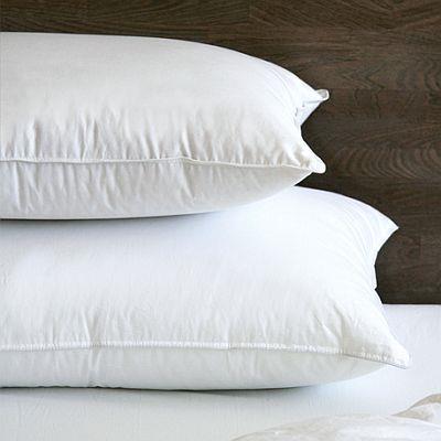 Suprelle Pillow Queen Memo Firm